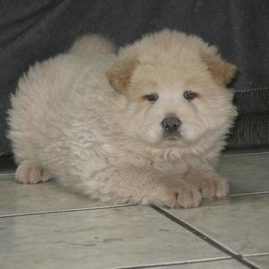 Meet your Posher, Patricia